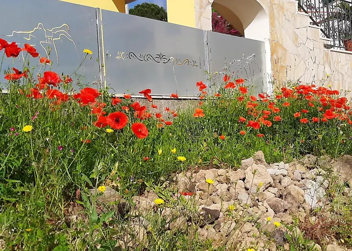 La Campetella - Relax A Due Passi Dal Centro 아파트 *