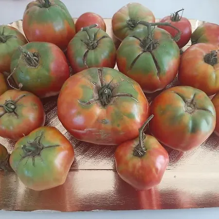 La Campetella - Relax A Due Passi Dal Centro Daire