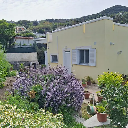 La Campetella - Relax A Due Passi Dal Centro